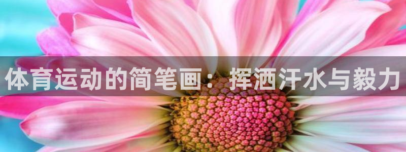 意昂4注册