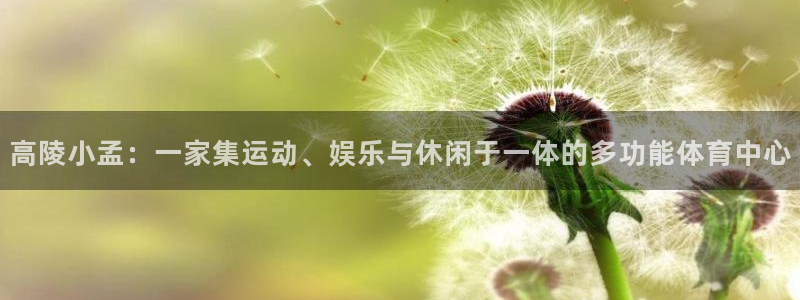 福建蓝狮在线机电股份公司