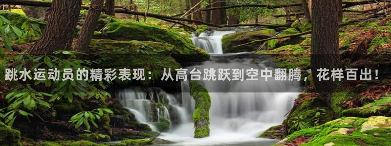 意昂4登录