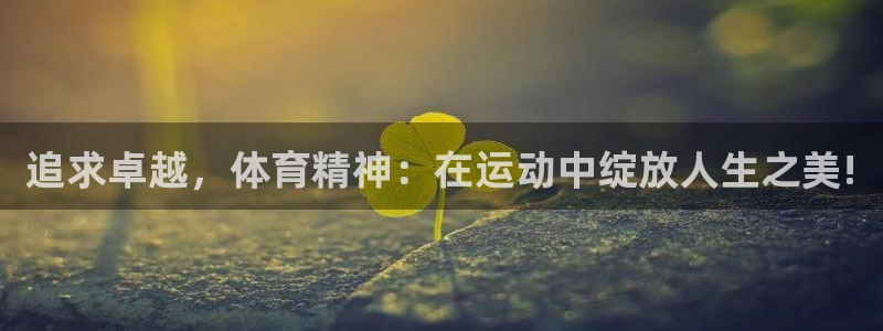 蓝狮在线