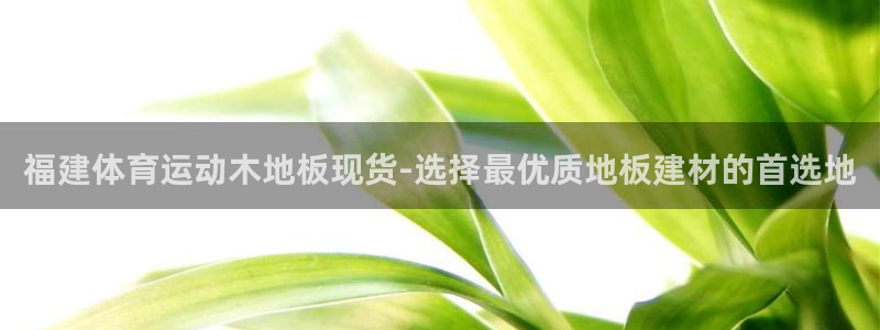 蓝狮在线5
