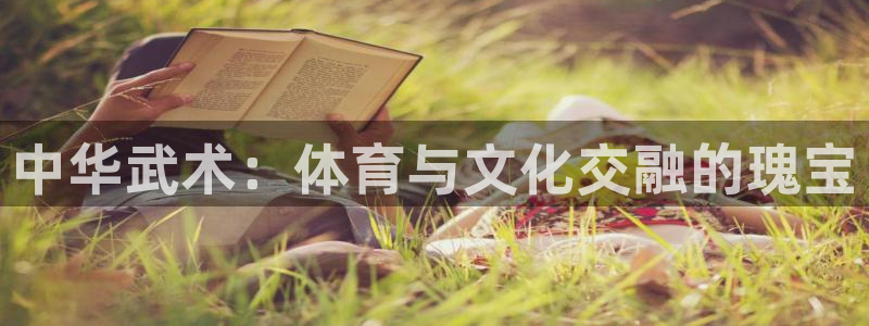 德国意昂集团