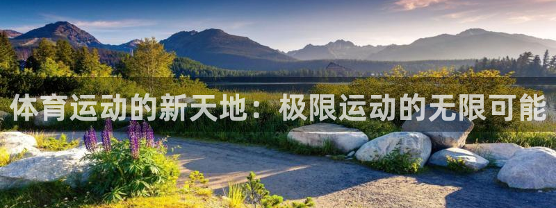 蓝狮在线体育和杏耀是哪个公司的