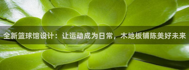 蓝狮在线零能源集团