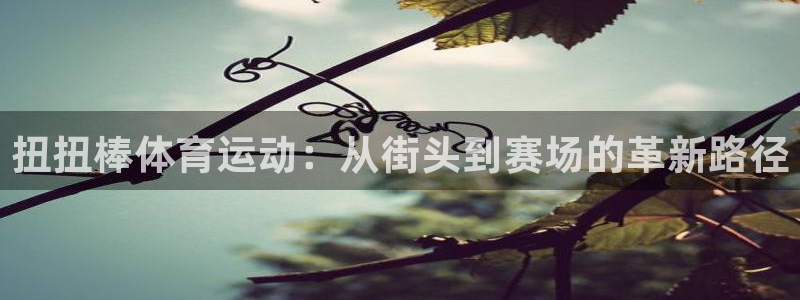 蓝狮在线