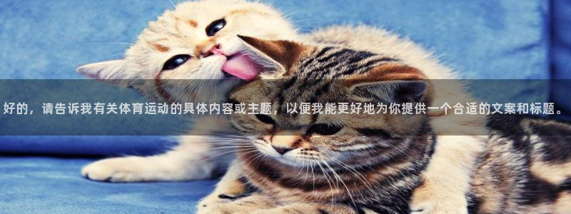蓝狮在线5招商