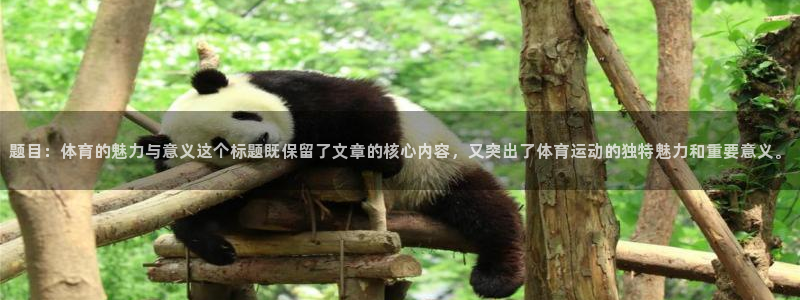 意昂代理注册官网入口