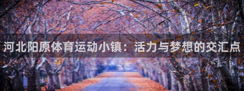 意昂体育2