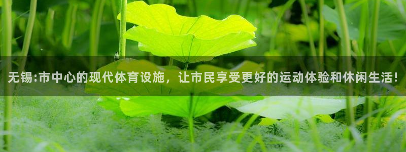 蓝狮在线2注册