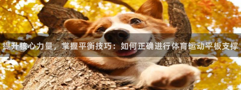 意昂体育4