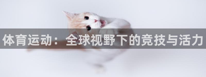 蓝狮在线招商